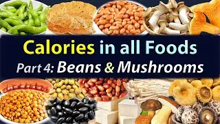 Food Calorie Chart &ndash; Part 4: Beans & Mushrooms &ndash; High and Low Calorie Beans & Mushrooms
