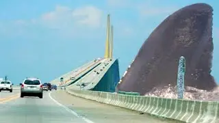 Real Photos Of The Megalodon That Proves It Exists