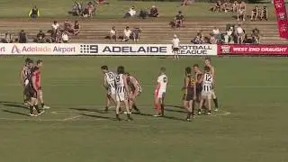 SAAFL Grand Final - Goodwood Saints v Payneham