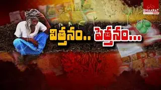 Special Story On Farmers Facing Problems With Fake Seeds in Telugu States | Bhaarat Today