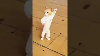 sjov kat der danser 😂😂
