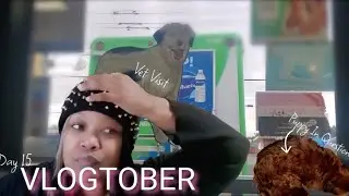 VET VISIT...AGAIN 😫 + More Halloween Decor!