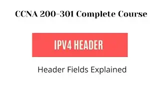 IPv4 Header Fields Explained