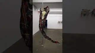 Berlin Art Week 2025 - KOW