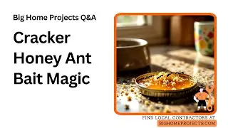 Crushed Salty Cracker Honey Ant Bait Method