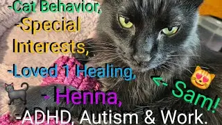 Update! :) 😺 Cat Behavior, Loved one feeling better! 💗 Back to Normal, Neurodivergent Jobs,  💗🫶🏻😻🙏🏻💕