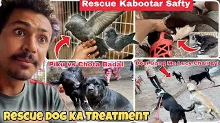 Street Vale Dog Ko Doctr Ke Pas Le Gye😭 Roki Pandit Ki Bike Ke Piche Pad Gaya