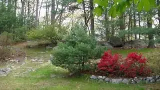 25 Ledgetree Rd, Medfield MA 02052 - Single Family Home - Real Estate - For Sale -