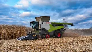 Claas Lexion 8700 | Corn Test Plot Harvesting