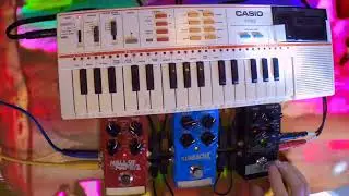 TC Pedals ALL SET TO LOOP - Casio PT-82 Startup Sequence