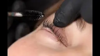This Lash Curl Changed Her Entire Look 👀