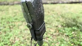 RCA 44 Ribbon Microphone