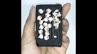 Miniature Garlic using polymer clay / baking clay