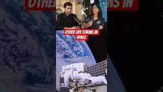 Truth of Alien Life Seen From ISS | Facts Shared by Sunita Williams #shorts