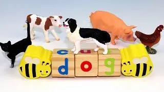 Learn ZOO Farm Animals Names w/Wooden Blocks Toys for Kids Babies
