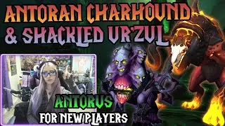 How to Run Antorus the Burning Throne 🔥 Antoran Charhound & Shackled Ur'zul ⛓️ + Mythic Eonar Solo