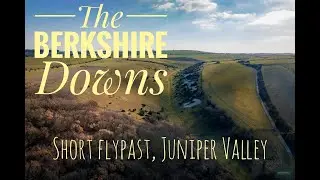 Juniper Valley in the Berkshire Downs