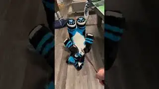 Walkies? #furry #quadsuit #fursuit #plushie #dog