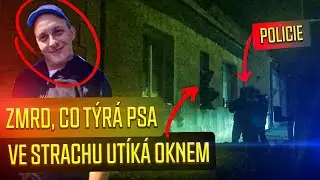 JELI JSME ODHALIT TYRANA PSA. ZJISTILI JSME, ŽE UTÝRAL 50+ ZVÍŘAT A PAK PŘED NÁMI VYSKOČIL OKNEM...