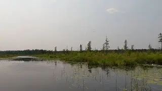 Paddling - Portage River from Lapond Lake upstream to the Portage River portage in the BWCA