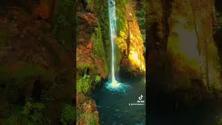 #capcut #nature #wow #beautiful #natura #cascada #frumusete #decenu #vizeses #feelinggod