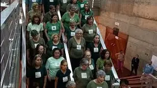 Grupo VOZES - Andar com Fé