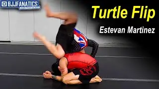 Turtle Flip by Estevan Martinez