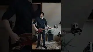 Night Sins- The stranger bass cover