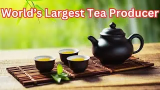 World's Largest Tea Producer | China | Invention Of Paper | School At Home 2121