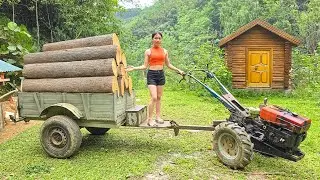 Harvesting Rare Timber with a Cart Deep in the Forest and Caring for 1000 Ducks &ndash; Farm Life | LTtivi