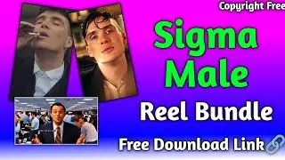 🤩Ultimately Free Sigma Male Reel Bundle / Copyright Free Sigma Male Reel Bundle / Digital Rakesh 4u