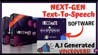 VoiceMate Review