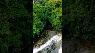 തുഷാരഗിരി ആനക്കാംപൊയിൽ അരിപ്പാറArippara watter falls 🍁