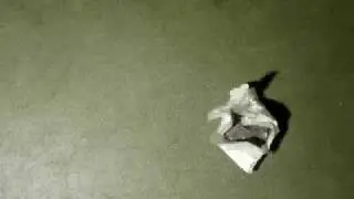 Paper does rock