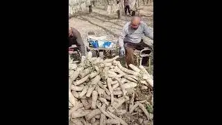 Agriculture farm. Smart farming work with smart farmers