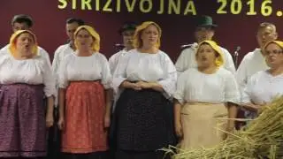 KUD Šokadija 21. Žetvena večera Strizivojna
