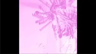[free for profit] prettifun + che + tana type beat 