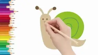 How to Draw Snail, Honey Bee and Starfish Easy Step by Step | Drawing for Beginners, Girls and Boys