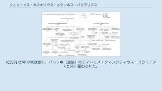 クィントゥス・カエキリウス・メテッルス・バリアリクス