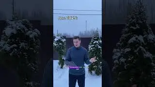 День 1025: