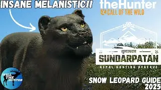 We Hunted An INSANE Melanistic Snow Leopard?! + Sundarpatan Snow Leopard Guide | TheHunter COTW 2025