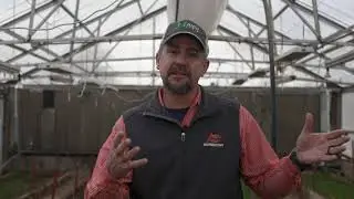 Managing Wheat in Extreme Cold