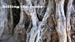 Held_Karl_DMP3