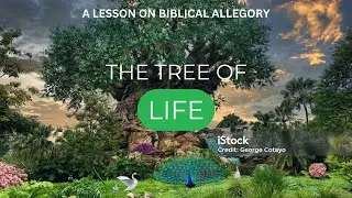 🌳 The Tree of Life: A Powerful Lesson on Biblical Allegory 🌿