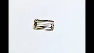 E671953E DD0F 4F45 B5DB 8CC204DD70E4