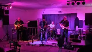 Albino Frogs playing The Music Alley at Penarth Ex's