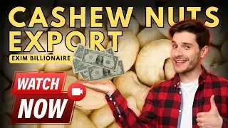 Cashew Nuts Export from Benin & Togo to India | Step-by-Step Import Export Business Guide