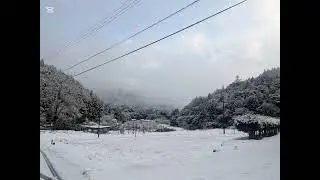 都万目と歌木と真杉の雪