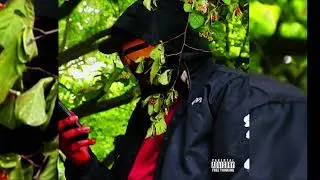 Gone Wallace - ALLEY'S BED (Official Audio)