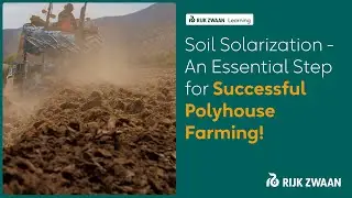Soil Solarization - An Essential Step for Successful Polyhouse Farming !
